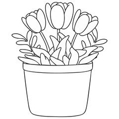 Three Blooming Tulips in Simple Pot  Outline Vector Illustration on White Background