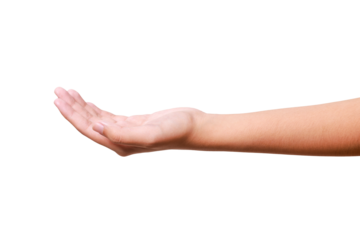 Female hand to hold something isolated on white background with clipping path.