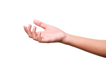 Female hand to hold something isolated on white background with clipping path.