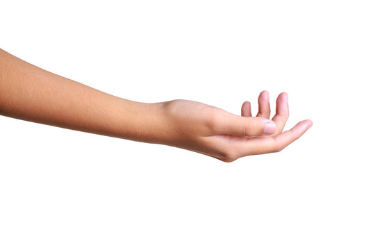 Female hand to hold something isolated on white background with clipping path.