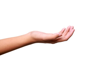 Female hand to hold something isolated on white background with clipping path.
