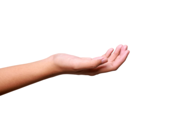 Female hand to hold something isolated on white background with clipping path.