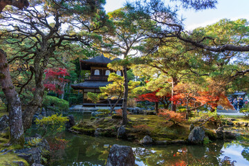 Naklejka premium 銀閣寺と庭園の紅葉風景