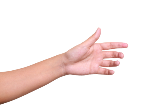 Female hand to hold something isolated on white background with clipping path.