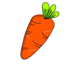carrot vector illustration
