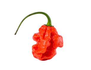 A single, vibrant red chili pepper with a green stem, set against a black background