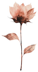 PNG Aesthetic sunflower illustration art watercolor.