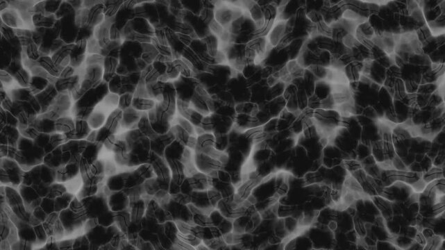 Minimal monochrome vector blur with black and white fractal smoke pattern, ideal for modern, futuristic, and tech-inspired visuals.