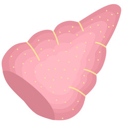 Pink conch seashell illustration with dotted texture