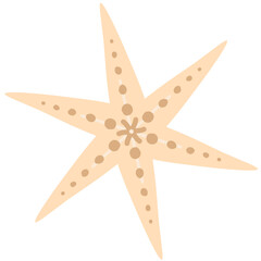Beige starfish illustration with simple design