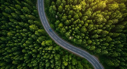 close up view of green road