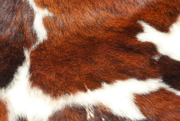 background of white and brown mottled cowhide very much in vogue during the 70s and 80s