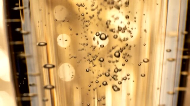 Sparkling bubbles ascend through a golden liquid, highlighting the glass's intricate design.