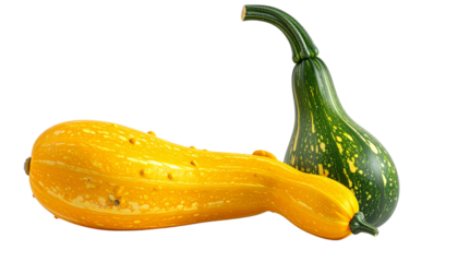  Modern lau duo collection highlighting fresh green produce, isolated on transparent background