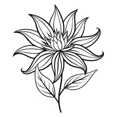 black and white flowers