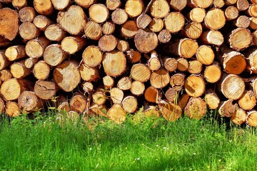 Closeup of timber logs prepared for burning