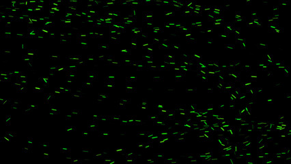 Blurred fire green embers sparks on black background . Texture isolated overlays. Concept of dust, particles, sparkles, light and flames.