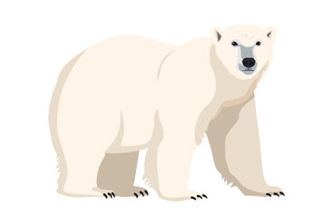 右向きのシロクマ