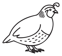 Simple black outline of a stylized quail with distinctive plume and patterned details, depicted in a minimalist line art style.