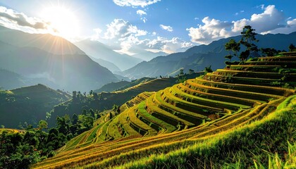 Fototapeta premium Lush Green Rice Terraces Cascading Down Hillsides in Warm Sunlight