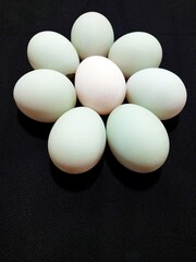 Eight eggs were arranged in a circle on a black cloth, seven pale green ones surrounding a white egg in the center, forming a flower-like pattern.