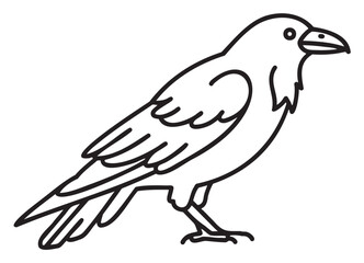 Obraz premium Black outline vector drawing of a raven in profile, showcasing its pointed beak and detailed feathers.