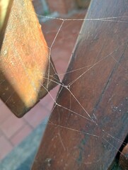 spider web on wooden steps