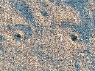 Signs of  marine life