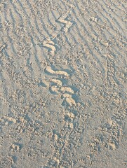 traces on sand