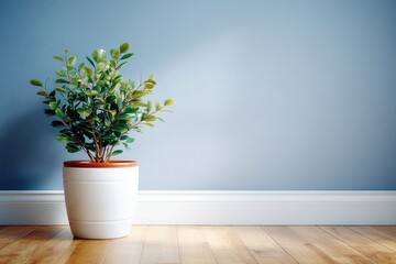 Lush green plant in white pot adds freshness to minimalist blue