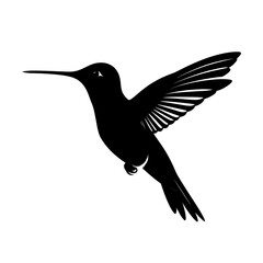 Obraz premium Silhouette of a Hummingbird in Flight - A Minimalist Black and White Design.