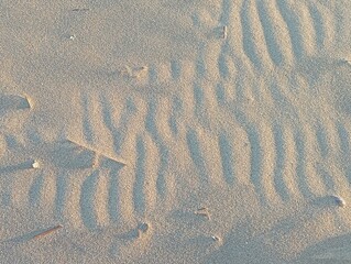 The beach after a sandstorm 