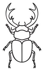Black outline illustration of a stag beetle with prominent antlers and detailed body structure.