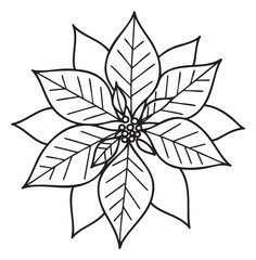 Black outline drawing of a poinsettia flower with detailed leaves and central petal arrangement.