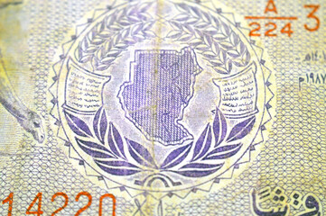 map of Sudan marked by branches of laurel and wheat separated by a strip with inscriptions, from the obverse side of 25 twenty five Sudanese piastres cash money banknote, old Sudanese money banknote