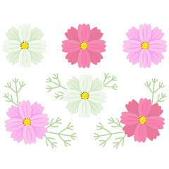 コスモスの素材セット