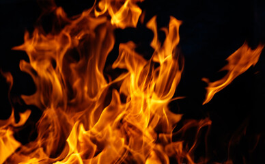 Fototapeta premium A close up of a fire with its flames reaching up to the top of the frame