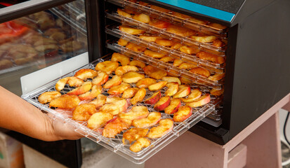 Person is holding a tray of apples in front of a dehydrator