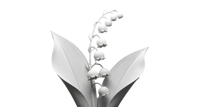 White Lily Flower with Curved Petals and Drooping Bell-Shaped Blooms in Minimalist Monochrome Style