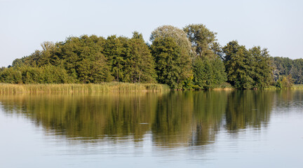 A body of water with trees on the shore