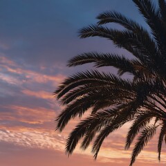 palm trees on the beach