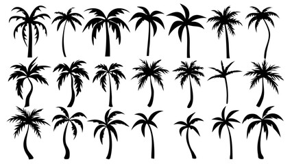 Black palm trees silhouettes collection for tropical summer vacation designs, beach resort advertising, and exotic island travel posters with flexible vector shapes