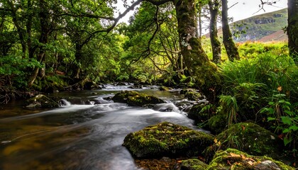 Obraz premium Enchanted Forest Stream - A Serene Journey Through Verdant Nature.