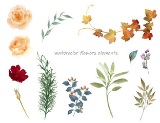 水彩で描いた秋色の薔薇と葉の素材セット