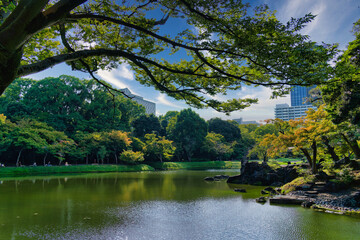 Obraz premium Koishikawa Korakuen in late Summer - A traditional Japanese garden