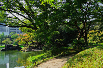 Fototapeta premium Koishikawa Korakuen in late Summer - A traditional Japanese garden