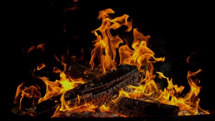 Detail Shot of Campfire , Glowing Logs , Isolated on Black Background