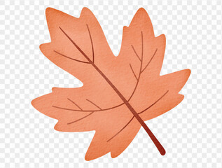 Watercolor autumn maple leaf orange fall seasonal Halloween decoration Vector.