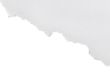 Abstract White Texture with Torn Edge on Transparent Background