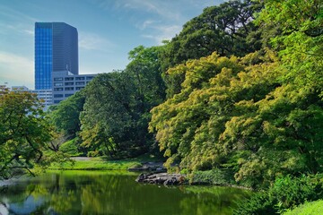 Obraz premium Koishikawa Korakuen in late Summer - A traditional Japanese garden